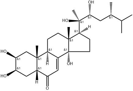 Polyporusterone A